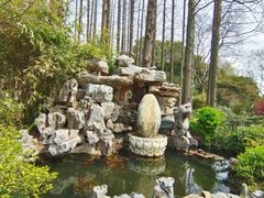 -上海醉白池公园