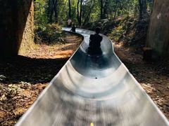 -茶颜悦色(登高路上店)