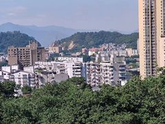 -福道