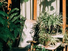 -时光花园(白鹭洲店)