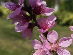 -九里河湿地公园