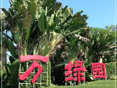 -万绿园