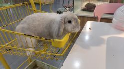 -Moni星球萌宠·小马宝莉·灵蛇·高端高阶全萌宠互动体验俱乐部(红豆国际广场店)