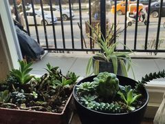 -小世界西餐厅(建国门店)