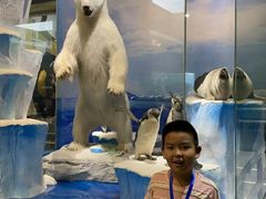 -国家自然博物馆