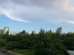 -万绿园