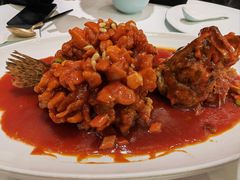 -蝶园·装修中(BFC外滩金融中心店)