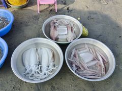 -美奈渔村
