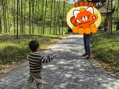 -黄海国家森林公园