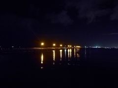 -企鹅岛