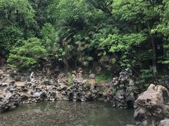 -伯先公园