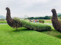 -光明小镇欢乐田园