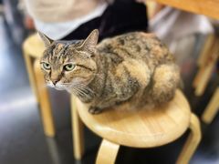 -龙华素斋(龙华路店)