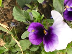 -皆道拌麻辣烫·麻辣拌