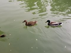 -万柳阁小馆·花园餐厅(龙潭湖店)