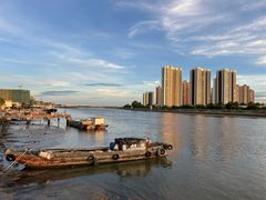 -蒂蒂香達濠魚丸