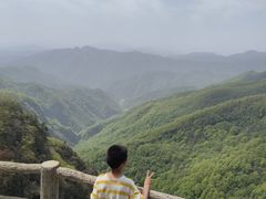 -牛背梁国家森林公园
