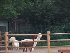 -朝阳公园