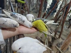 -海合安武汉极地海洋公园