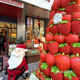 在大连！圣诞小蛋糕🎄！！！遥遥领先！！