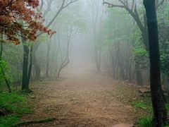 -岳麓山风景名胜区