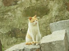 -雨花胜境
