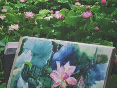 -莲花池公园