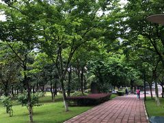 -西南政法大学(渝北校区)