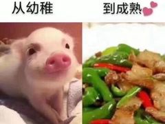 -LUCCA卢卡西班牙海鲜饭(远洋广场店)