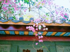 -深圳国际园林花卉博览园