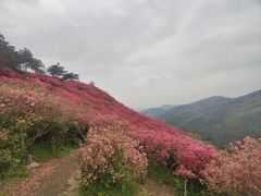 -木兰云雾山