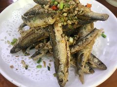 -全乐鱼馆·淳牌有机鱼直营店