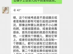 -谐和益家动物医院·免疫绝育·血液透析·宠保定点医院(高新伊藤分院)