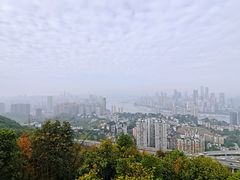 -南山植物园