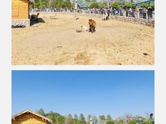 -上海辰山植物园