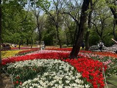 -沈阳植物园
