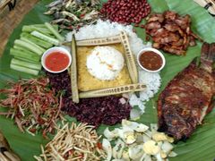 -金塔傣乡·云南民族特色菜·傣味手抓饭(金瓦路店)