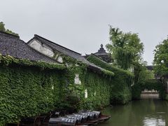 -鲁镇