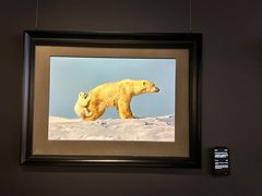 -罗红摄影艺术馆