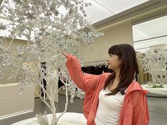 -松雷商业(南岗店)