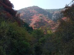 -黄花溪