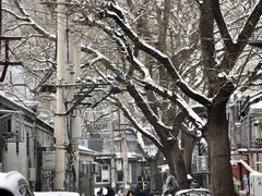 -北京国子监胡同