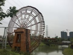 -王借岗森林公园