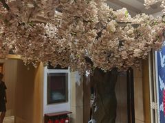 -碧中海汤泉汗蒸酒店