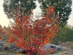 -青州市云门山风景区