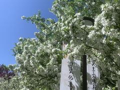 -海棠花溪(元大都城垣遗址公园)