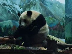 -武汉动物园