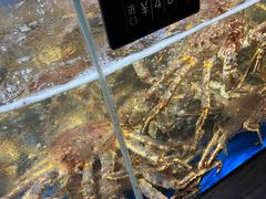 -徐记海鲜·宴会(大唐西市|丰庆店)