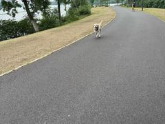 -金银湖国家城市湿地公园