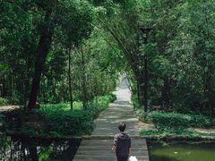 -燕晗山郊野公园